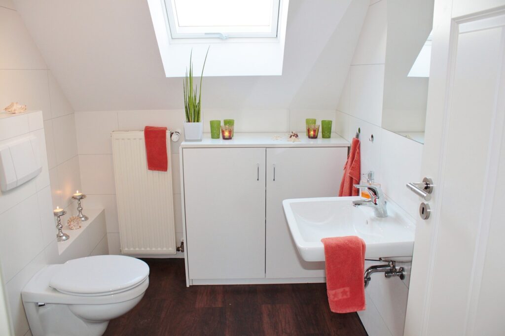 bathroom in tiny home